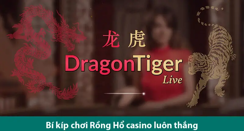 Hướng dẫn chơi và bí kíp đặt cược Rồng Hổ trực tiếp chi tiết