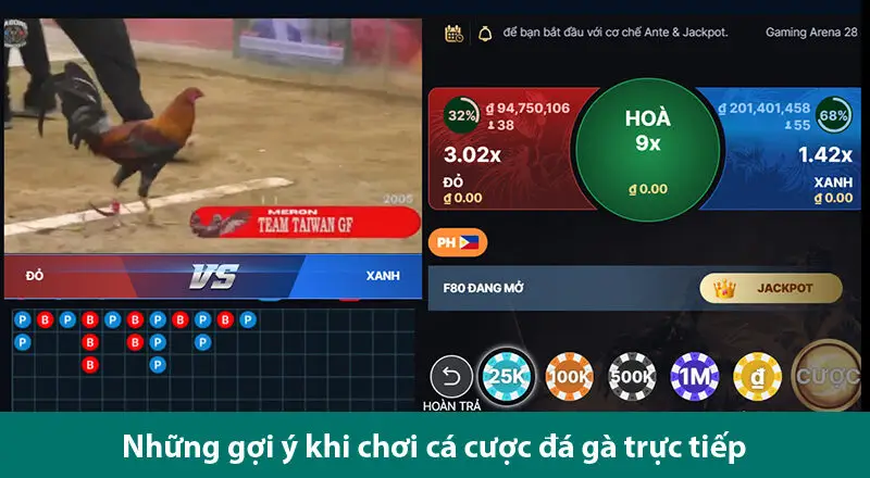 Bí quyết cá độ đá gà trực tuyến thắng chắc từ những cao thủ gà độ