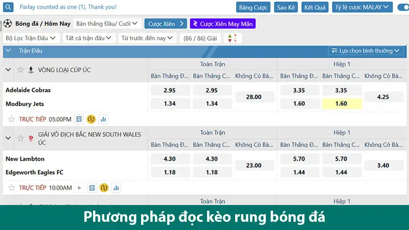Tìm hiểu về các loại cược và những lưu ý khi chơi kèo rung