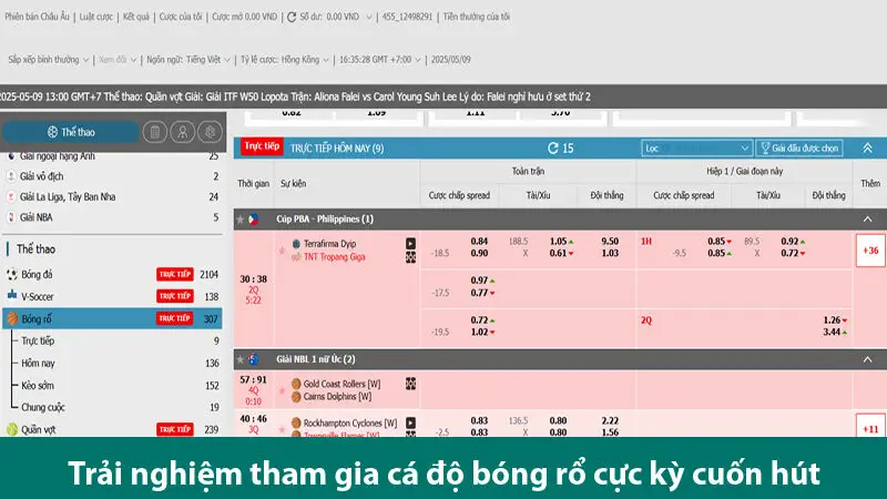 Khám phá luật cá độ bóng rổ và tìm hiểu các loại cược hấp dẫn